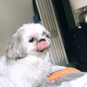 Meet your Posher, Alejandro